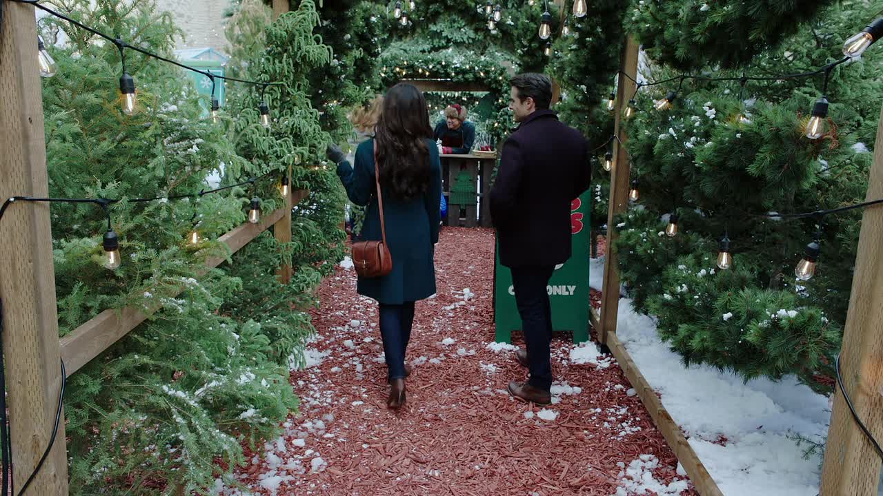 ⁣The Snow Must Go On 2025 1080p WEBRip x264 AAC-[YTS LT]