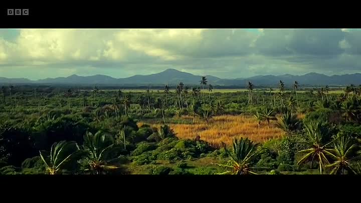 Civilisations Rise and Fall S01E03 -Aztecs