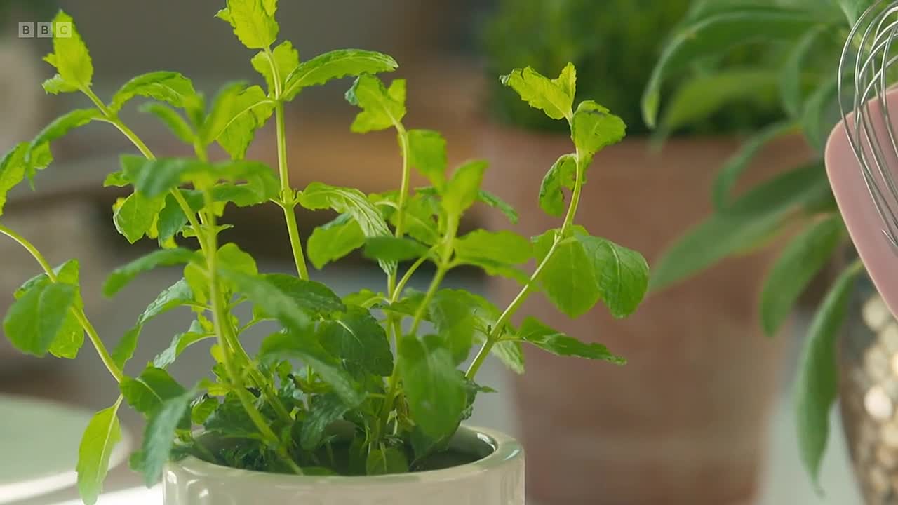 ⁣Mary at 90 -A Lifetime of Cooking S01E05