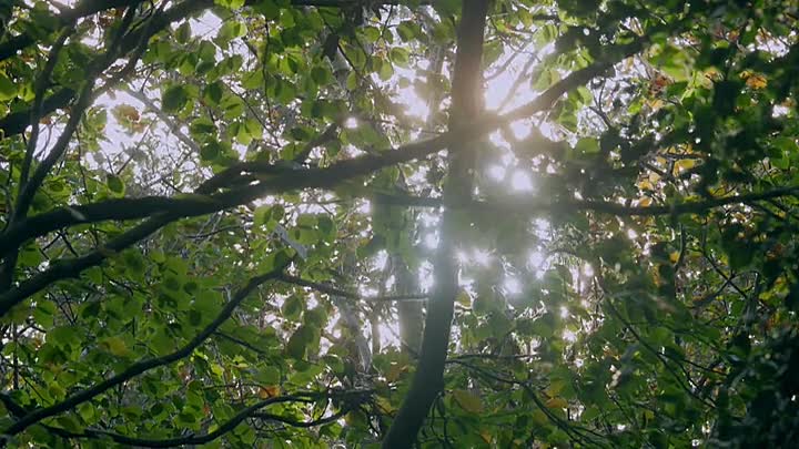 The Entrepreneurs (2025) S01E02