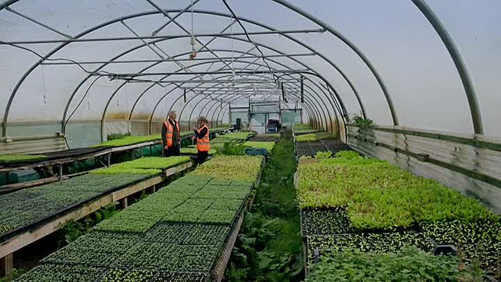 The Entrepreneurs (2025) S01E01