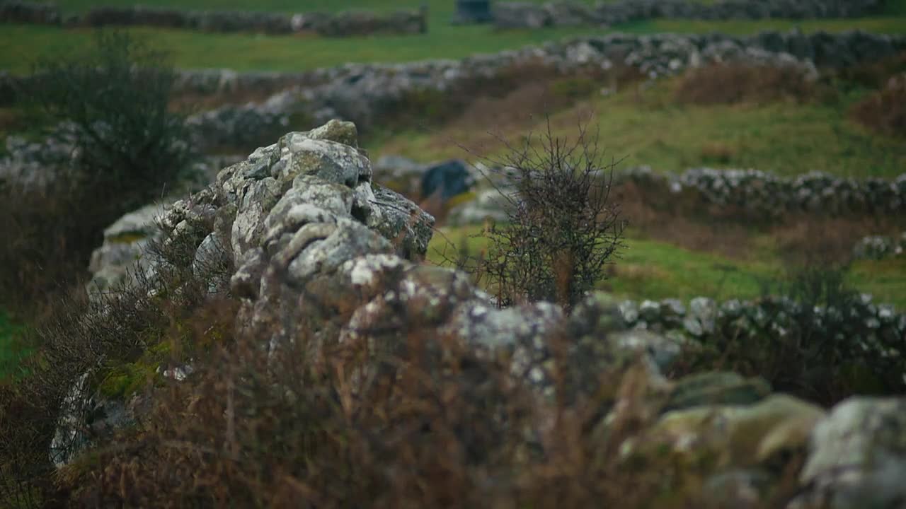 Imelda May - Amhráin na nGael S01E04