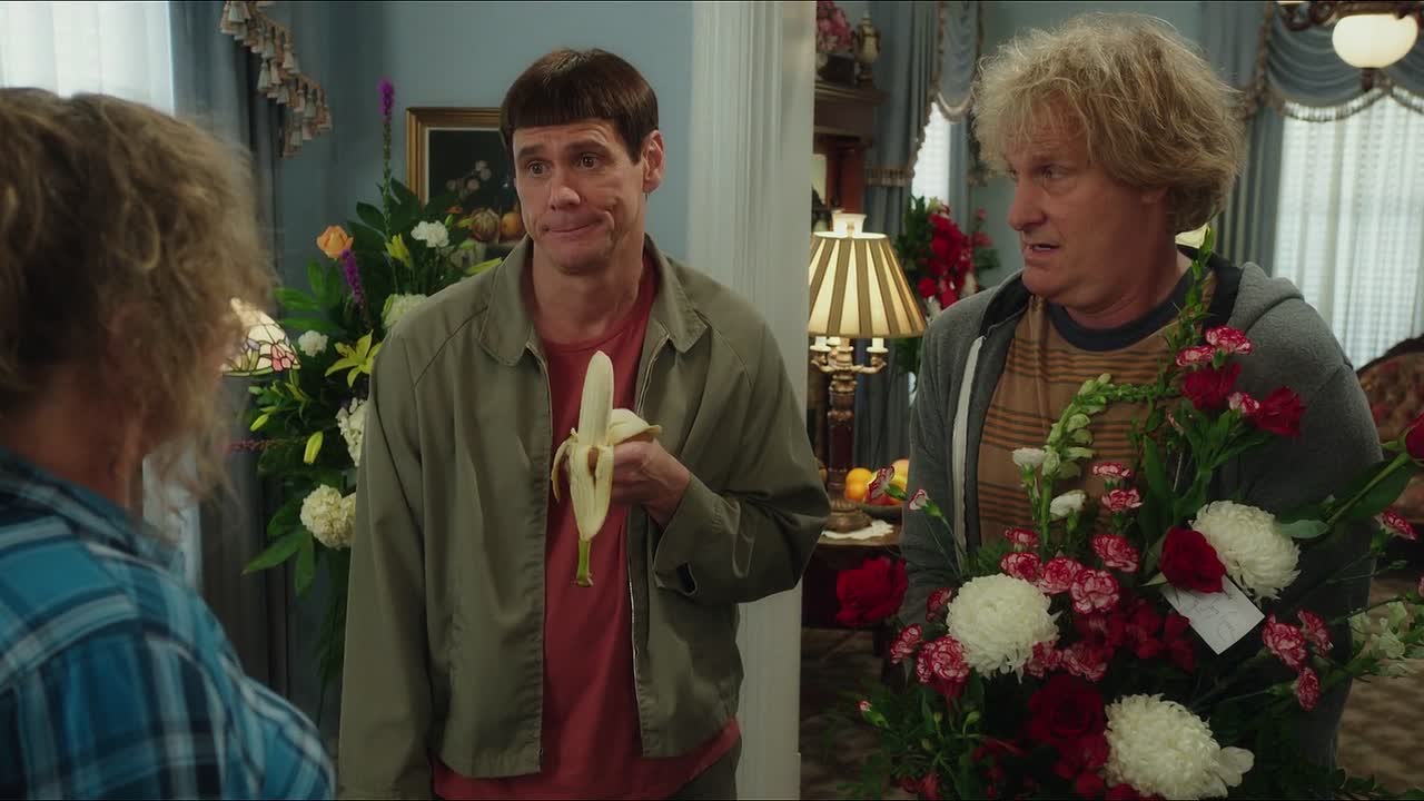 ⁣Dumb and Dumber To 2014 1080p BluRay x264 YIFY