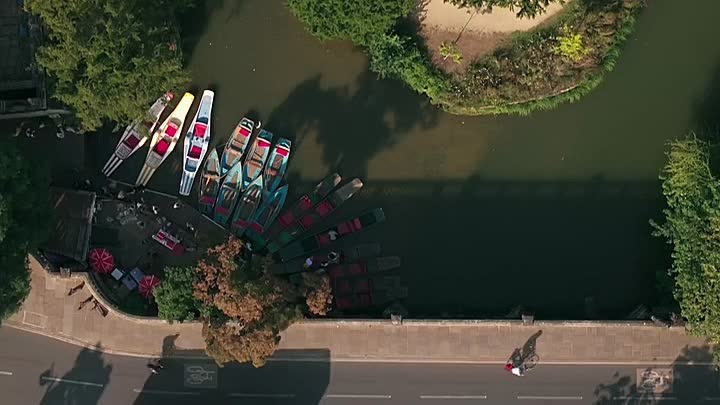 ⁣Cancer Detectives -Finding the Cures S01E01