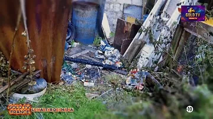 Faites Entrer L'accusé -Le martyr de Shaina