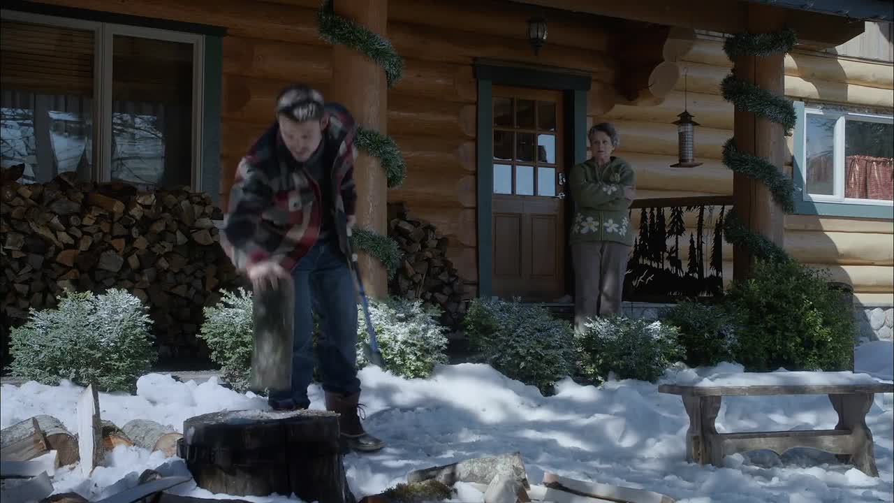 ⁣Let It Snow 2013 1080p WEBRip x264 AAC-rivestream org