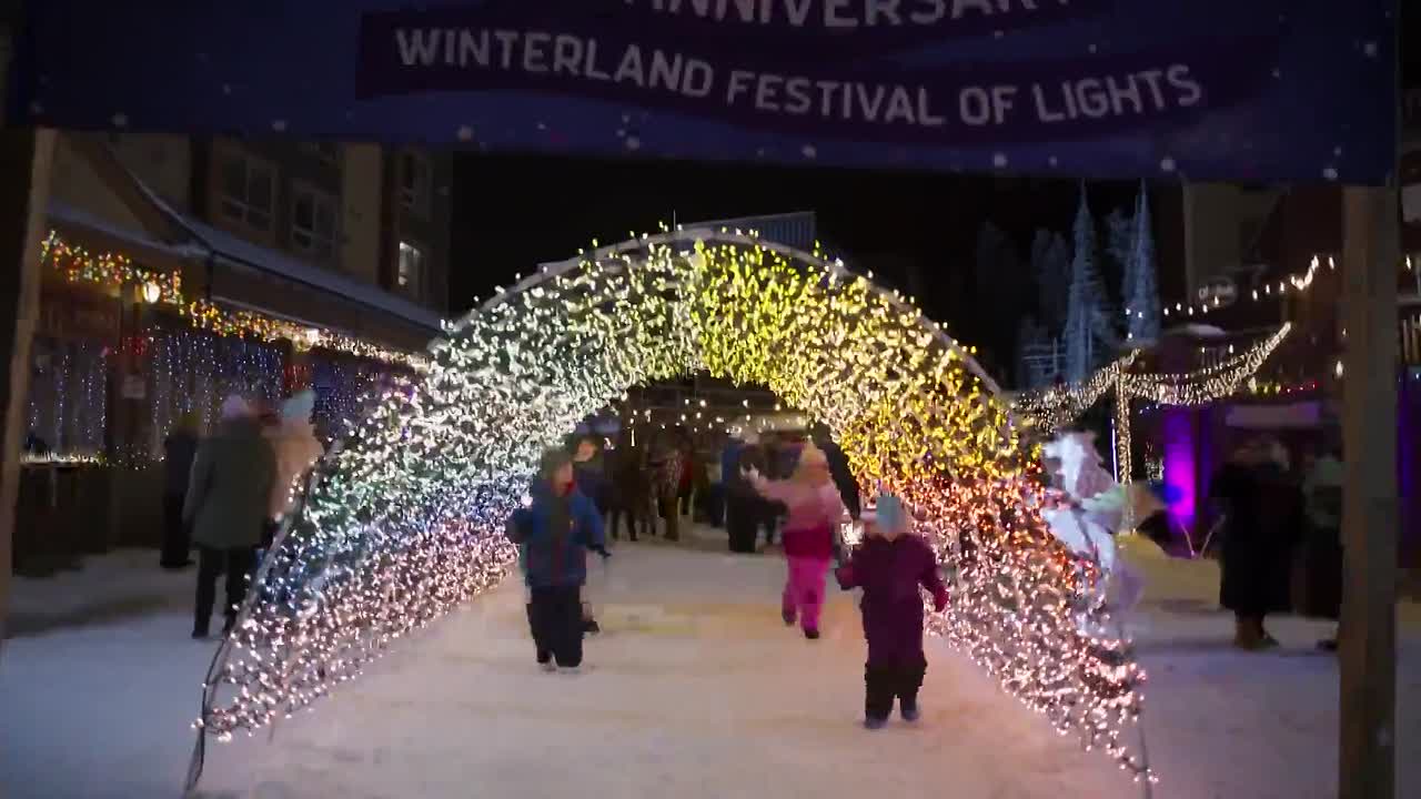 Love in Winterland 2020 1080p WEBRip x264 AAC-rivestream org