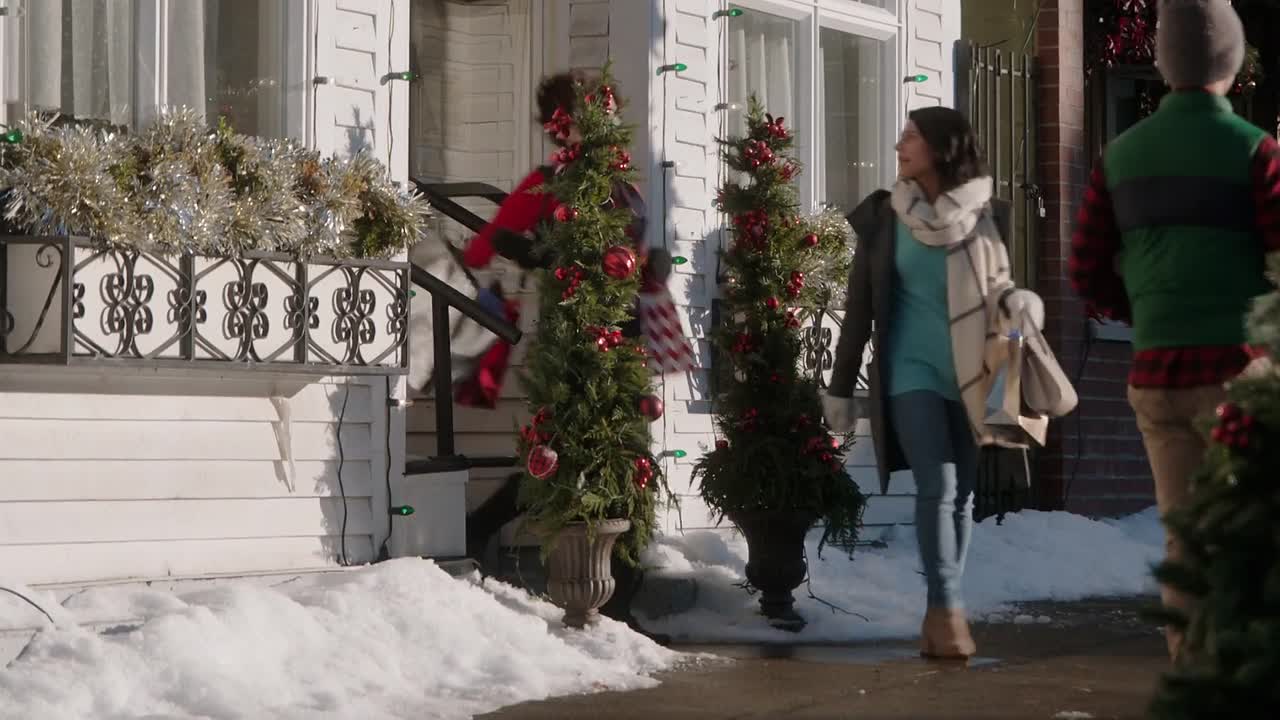 Love Lights Hanukkah! 2020 1080p WEBRip x264 AAC-rivestream org