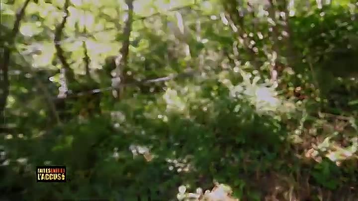 ⁣Faites entrer l'accusé  -Liaisons fatales, l'affaire Bettina