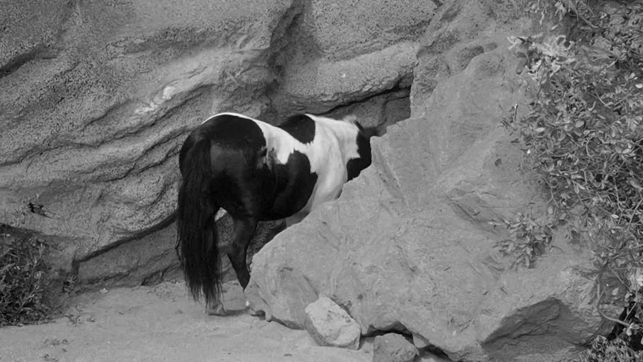 ⁣Have Rocket -- Will Travel 1959 1080p BluRay x264 AAC-