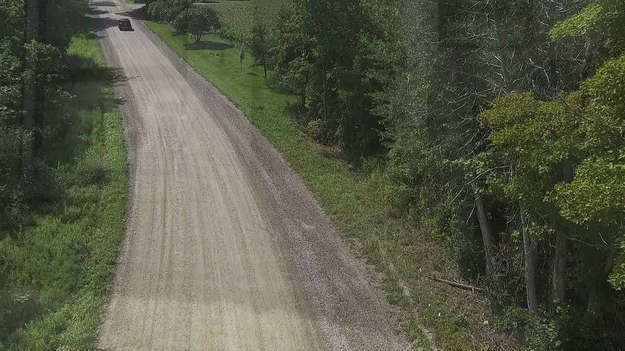 Neurovenge 2025 1080p WEBRip x264 AAC-[YTS LT]