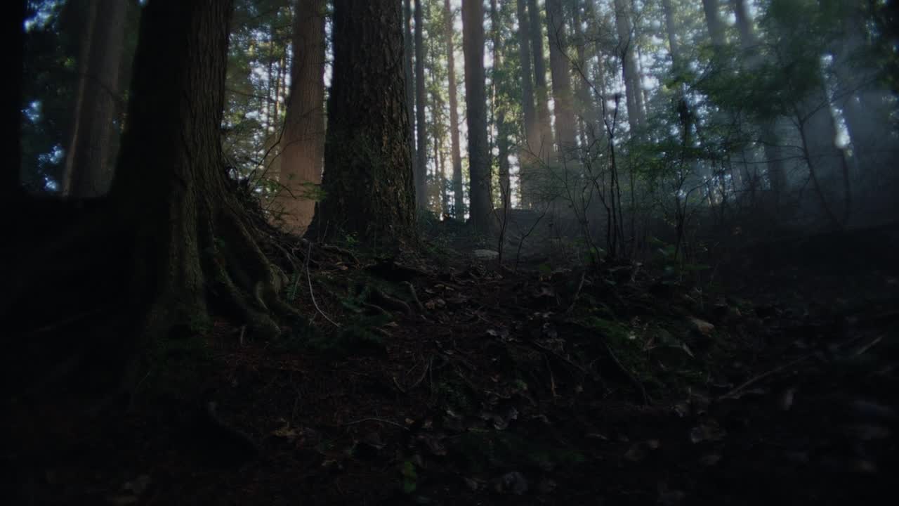 ⁣Keeper 2025 1080p WEBRip x264 AAC5 1-[YTS LT]