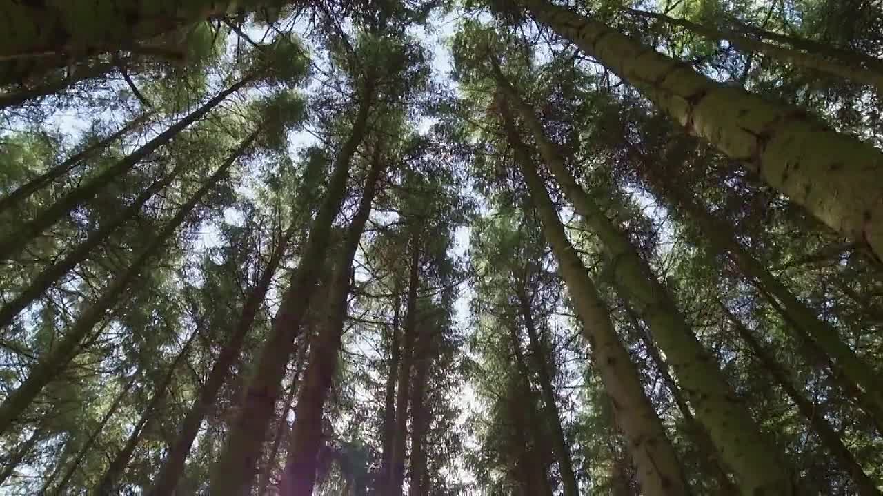 ⁣10 Things To Know About S11E03 -Storms