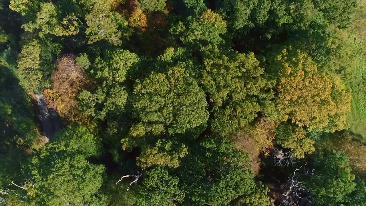 ⁣10 Things To Know About S11E04 -Invasive Species