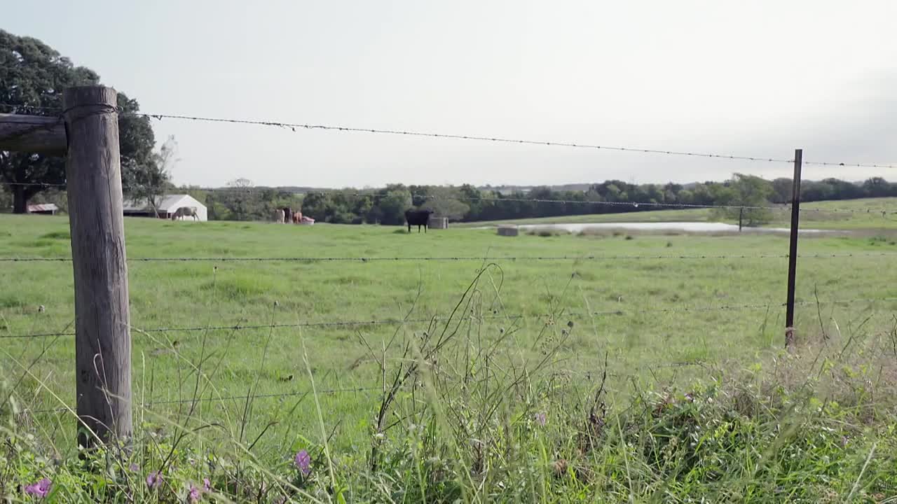 ⁣Snapped Behind Bars S03E05