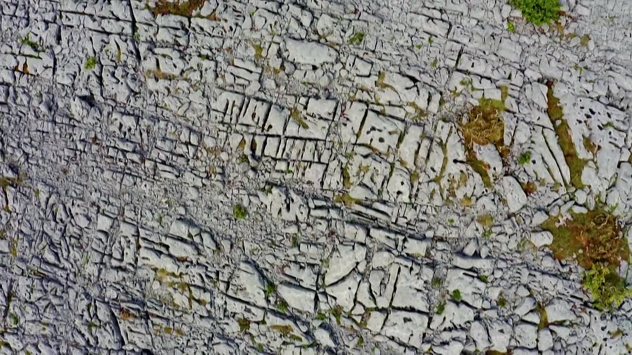 ⁣10 Things to Know About S11E05 -Carbon