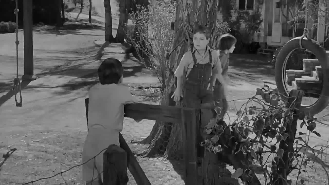 To Kill a Mockingbird (1962)