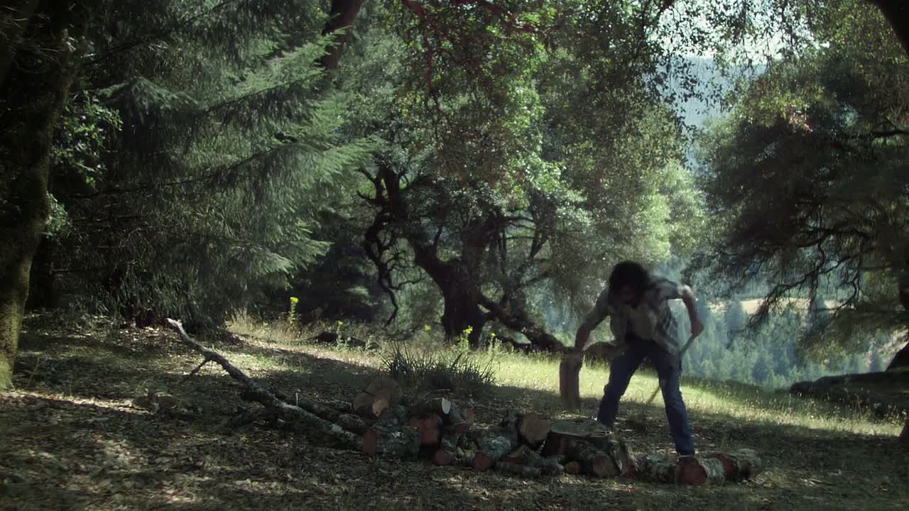 Goodbye World 2013 1080p HDRip x264 AAC