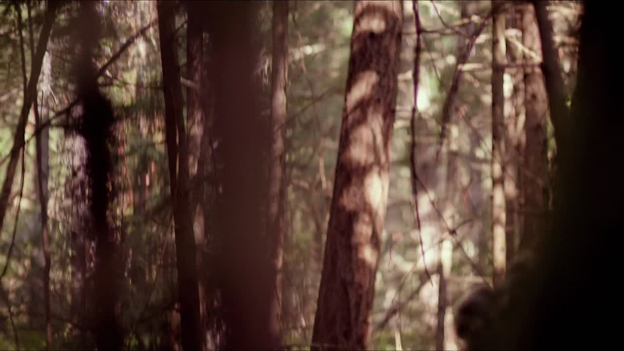 ⁣Kid Cannabis 2014 1080p BluRay x264 YIFY