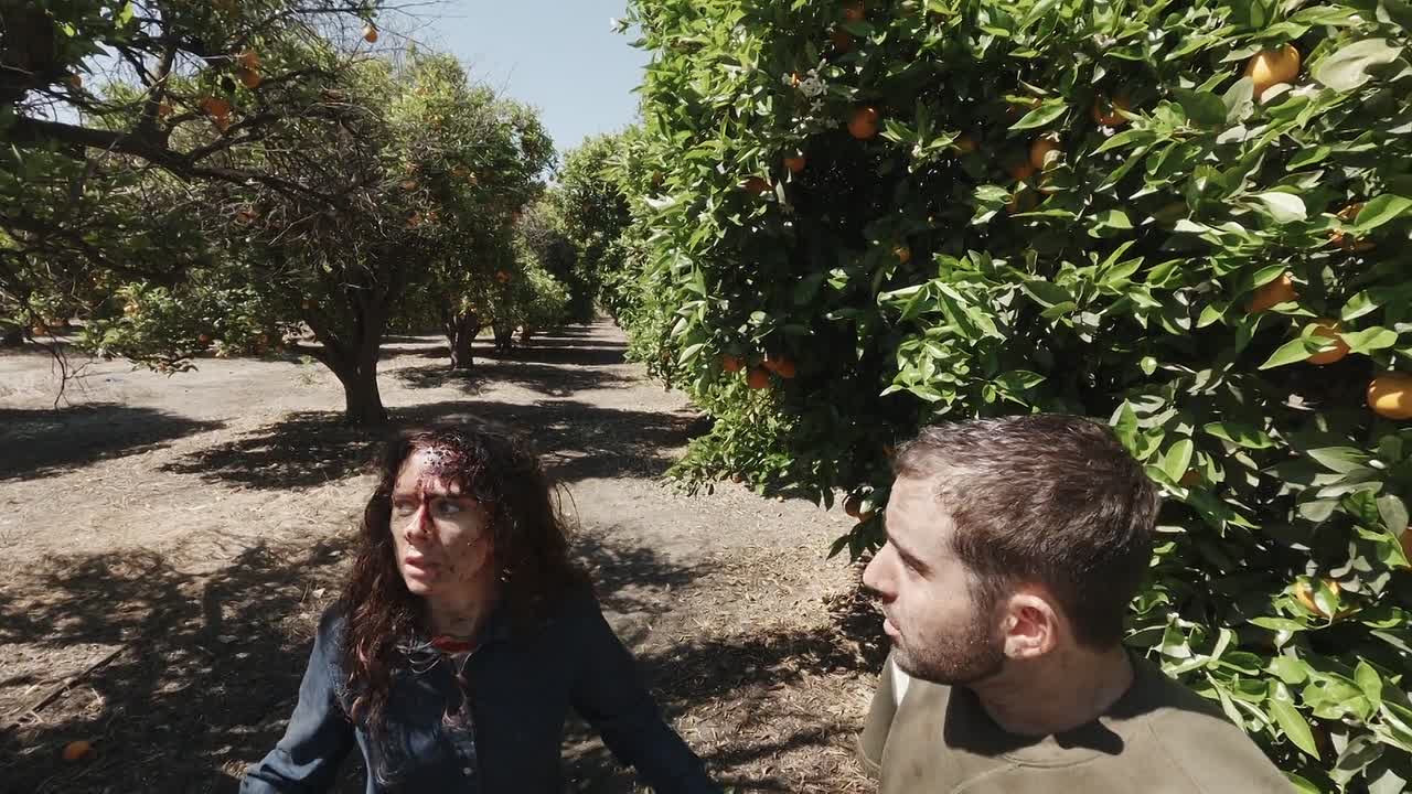 V H S 7 Beyond 2024 1080p BluRay x264 AAC5 1-