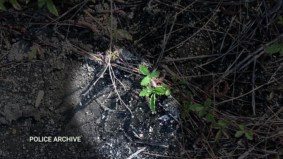 Murder At The Motel S02E05