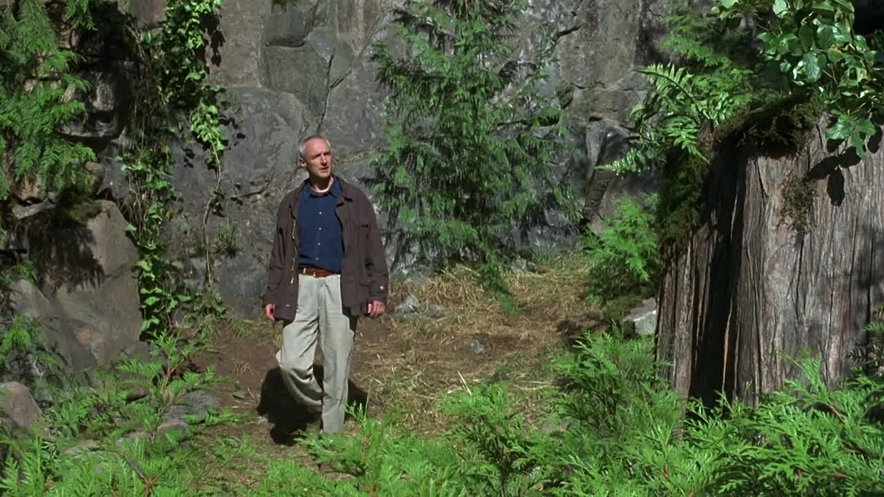 ⁣True Heart 1999 1080p WEBRip x264 AAC-[YTS LT]