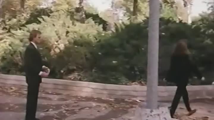 Lightning in a Bottle -1993