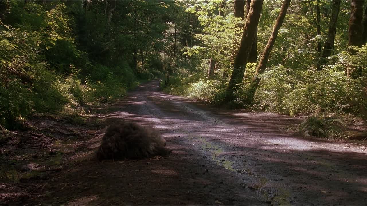 ⁣Harry and the Hendersons 1987 1080p BluRay x264 YIFY