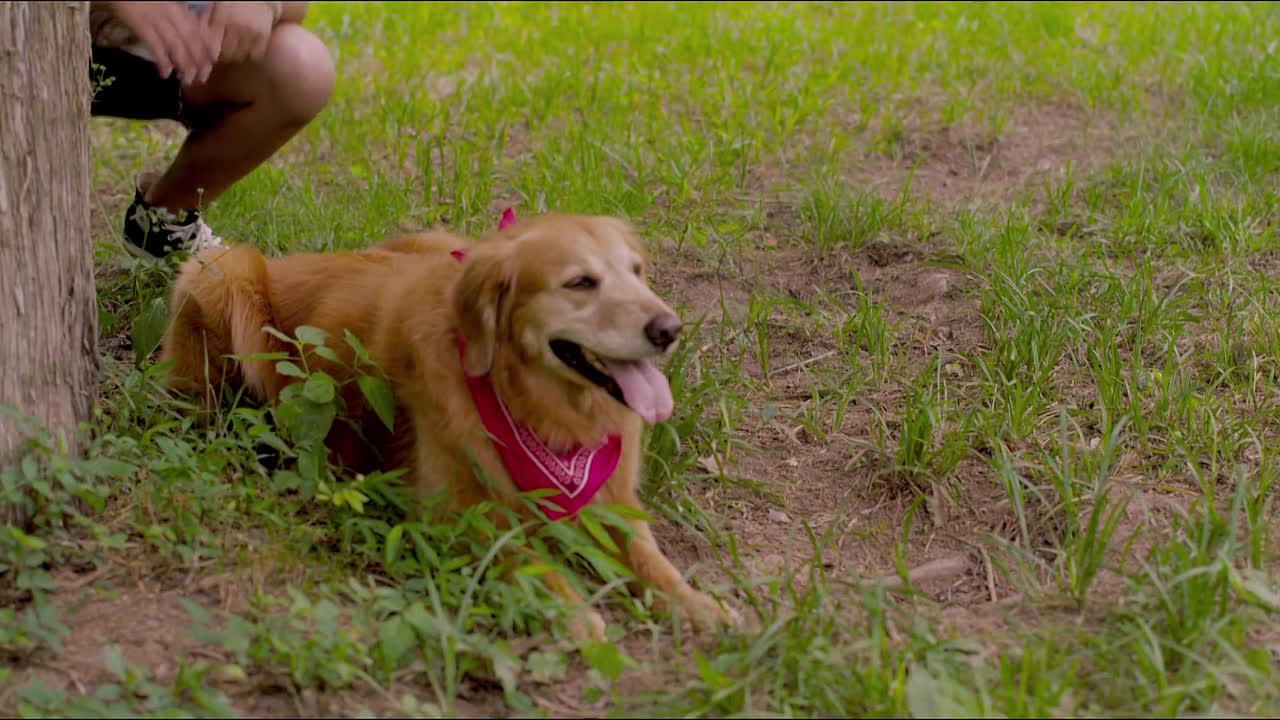 ⁣Season of Miracles 2013 1080p BluRay x264 YIFY