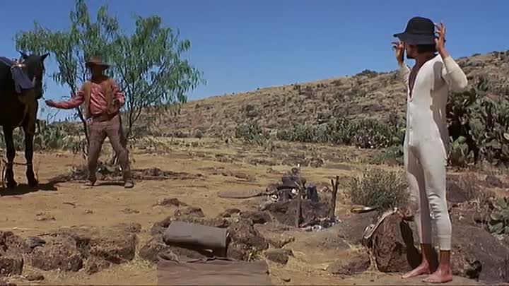 ⁣Buck And The Preacher (1972)