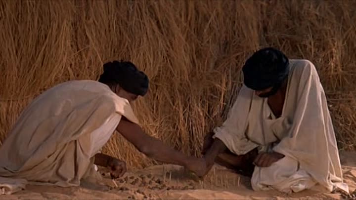 Fort Saganne 1984 FRENCH DVDRip XviD