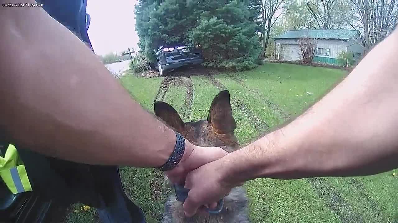 ⁣Fugitives Caught On Tape S02E19