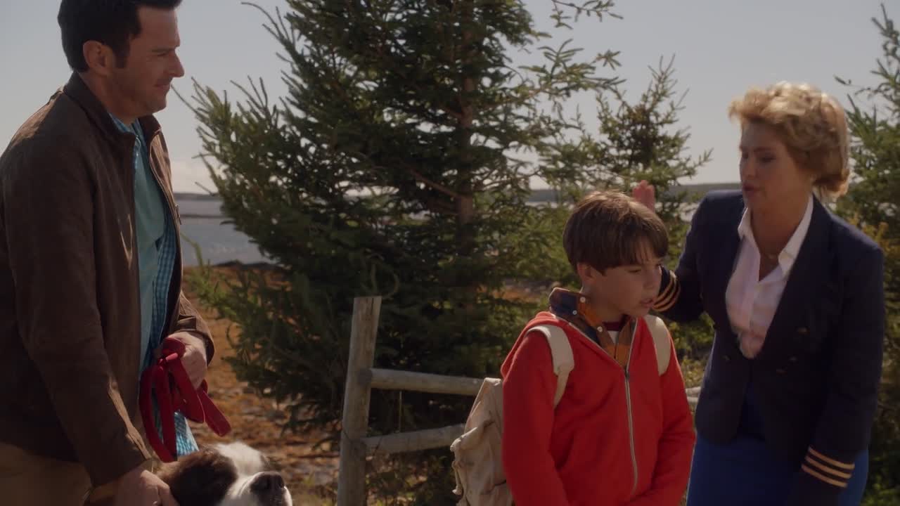 Beethovens Treasure Tail 2014 1080p BluRay x264 YIFY