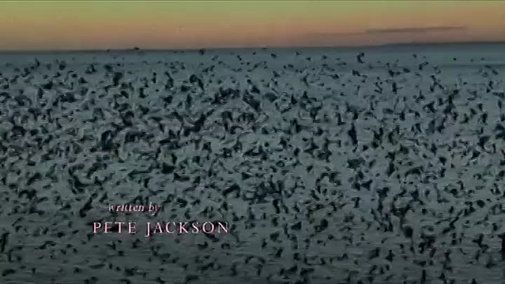 The Death Of Bunny Munro S01E01