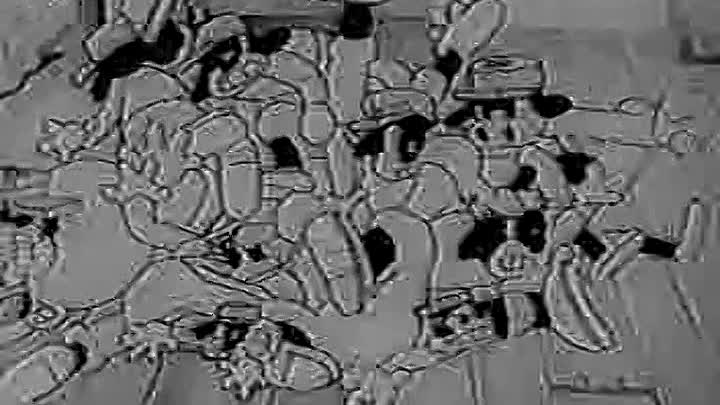 ⁣0059 - Beau Bosko (VHS)