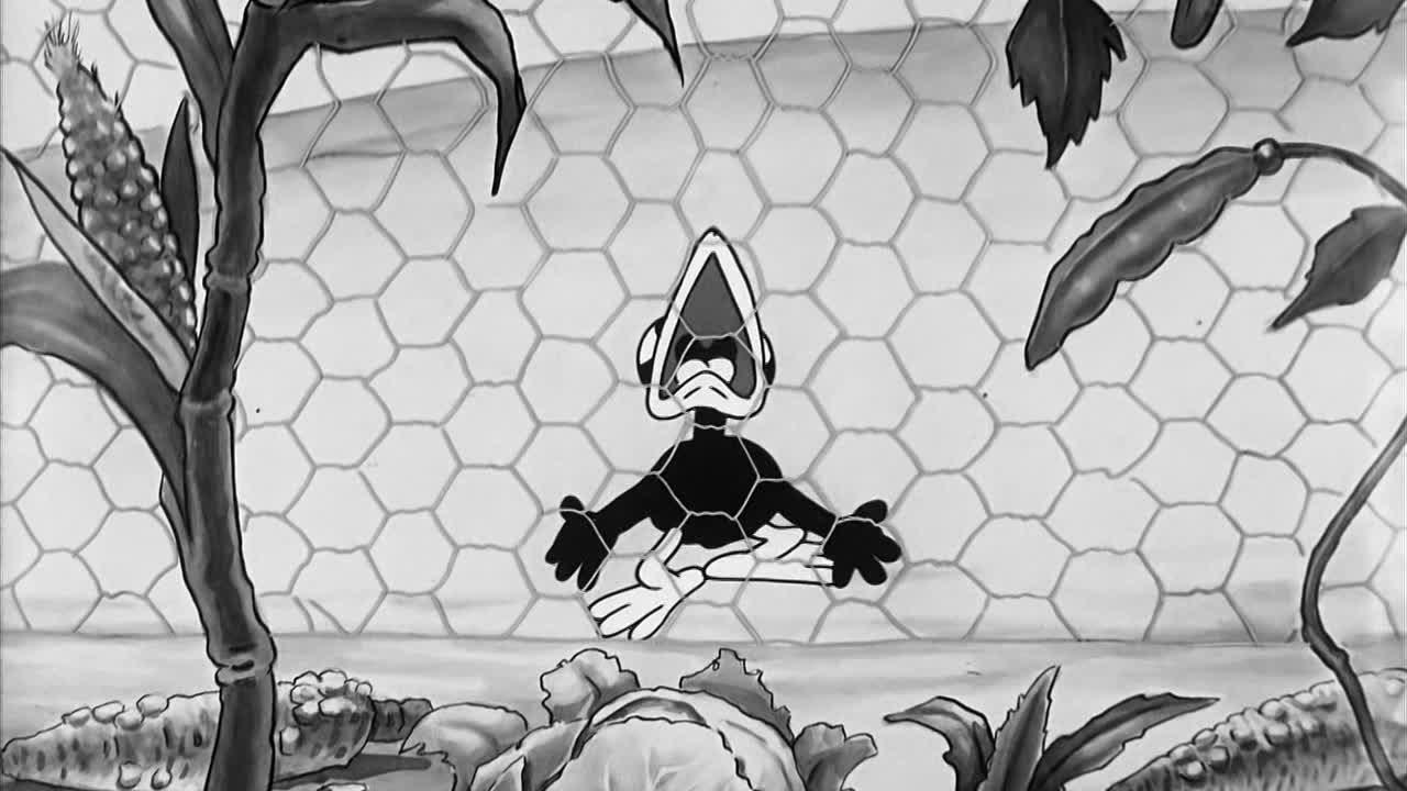 0041 - I Wish I Had Wings (BR)