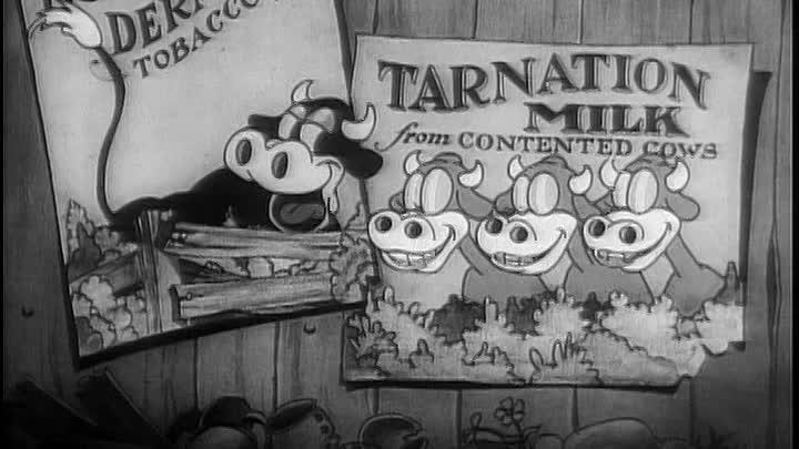 ⁣0070 - Sittin' on a Backyard Fence (DVD)