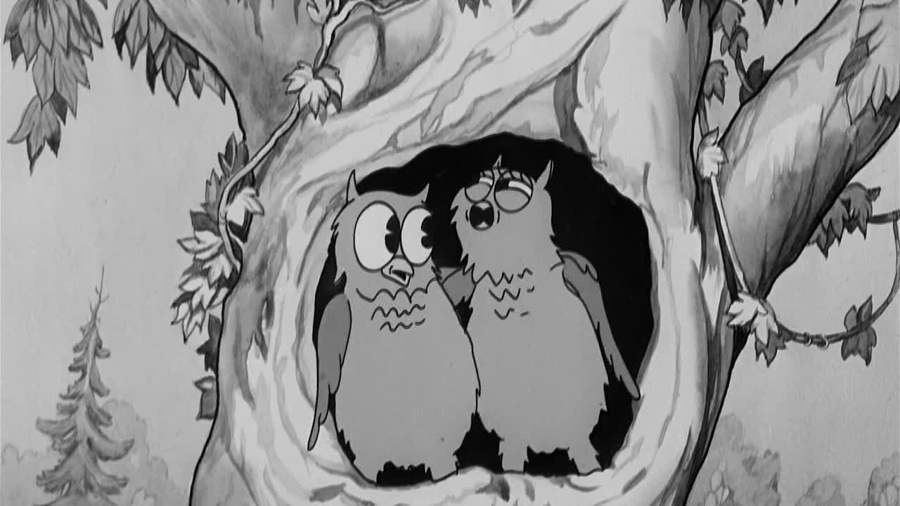 ⁣0072 - Pettin' in the Park (BR)