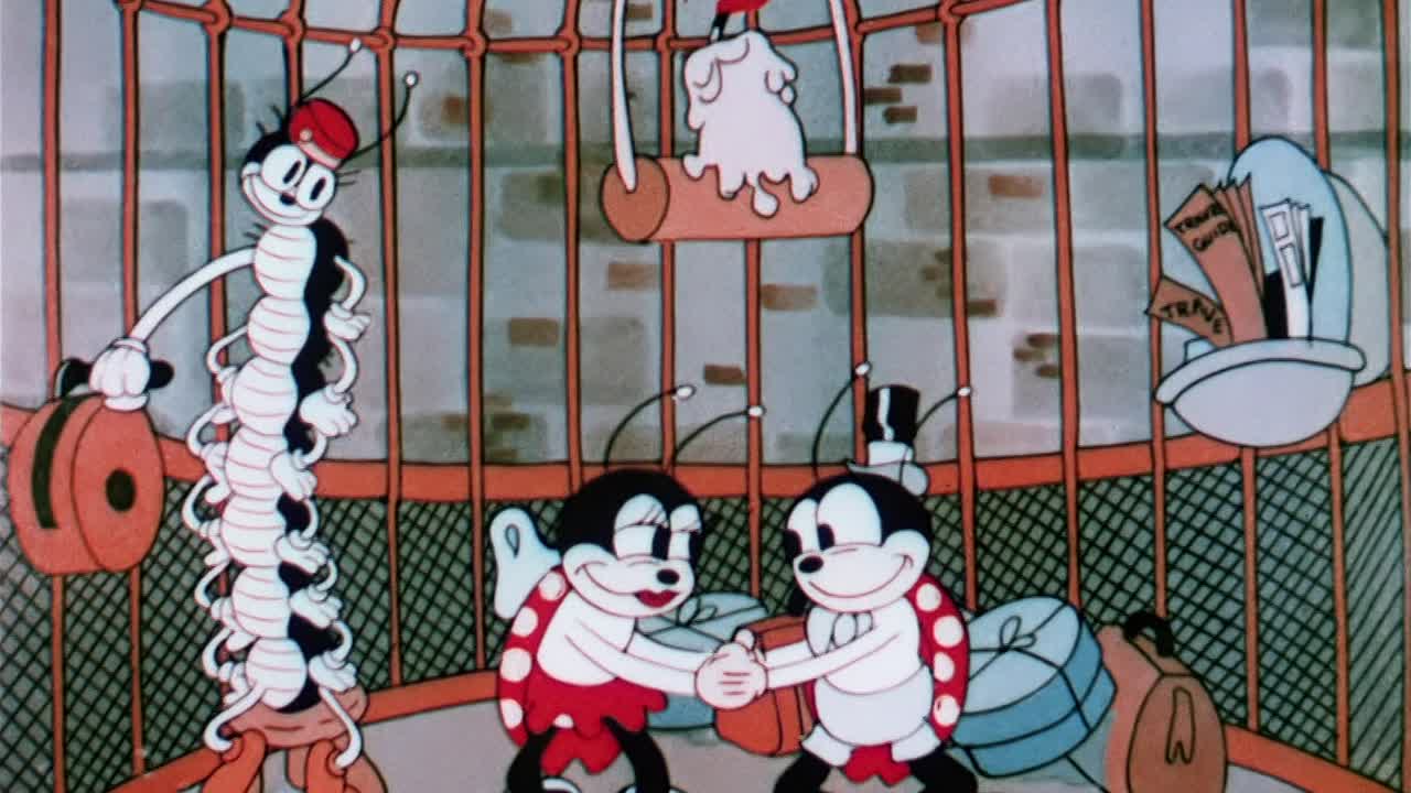 0073 - Honeymoon Hotel (BR)