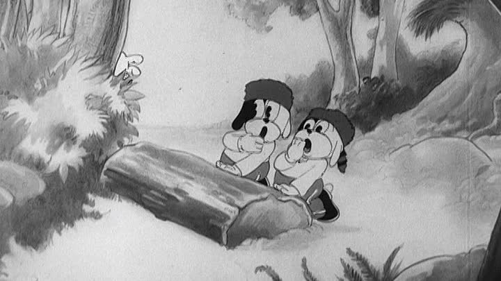 ⁣0128 - Westward Whoa (DVD)