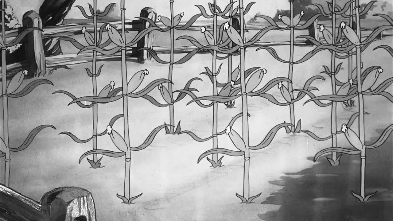 ⁣0138 - Porky the Rain-Maker (Web)