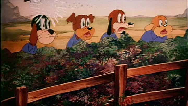 0238 - Bars and Stripes Forever (DVD)