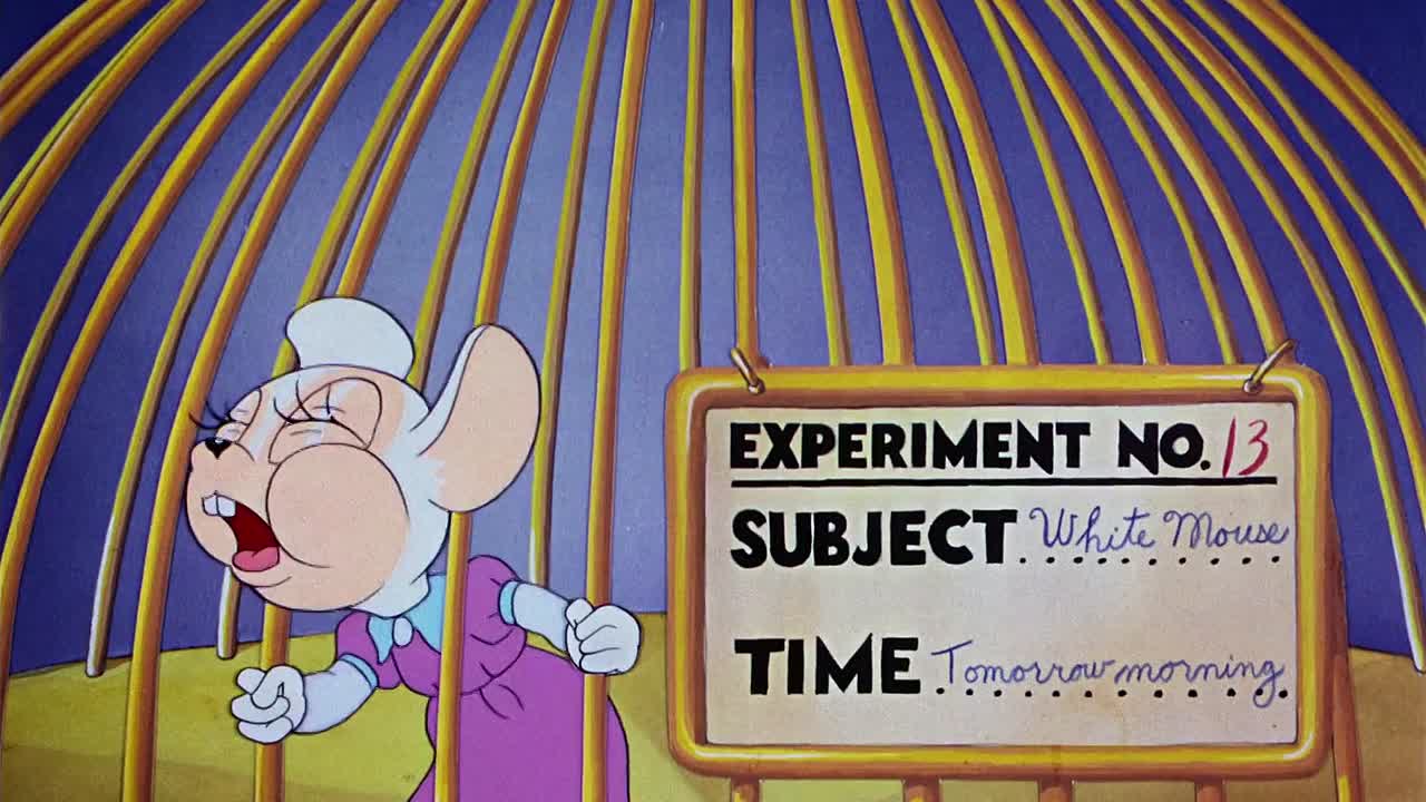 ⁣0226 - The Mice Will Play (Web)