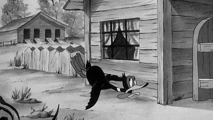 ⁣0252 - Wise Quacks (DVD)