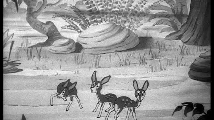 ⁣0273 - Africa Squeaks (DVD)