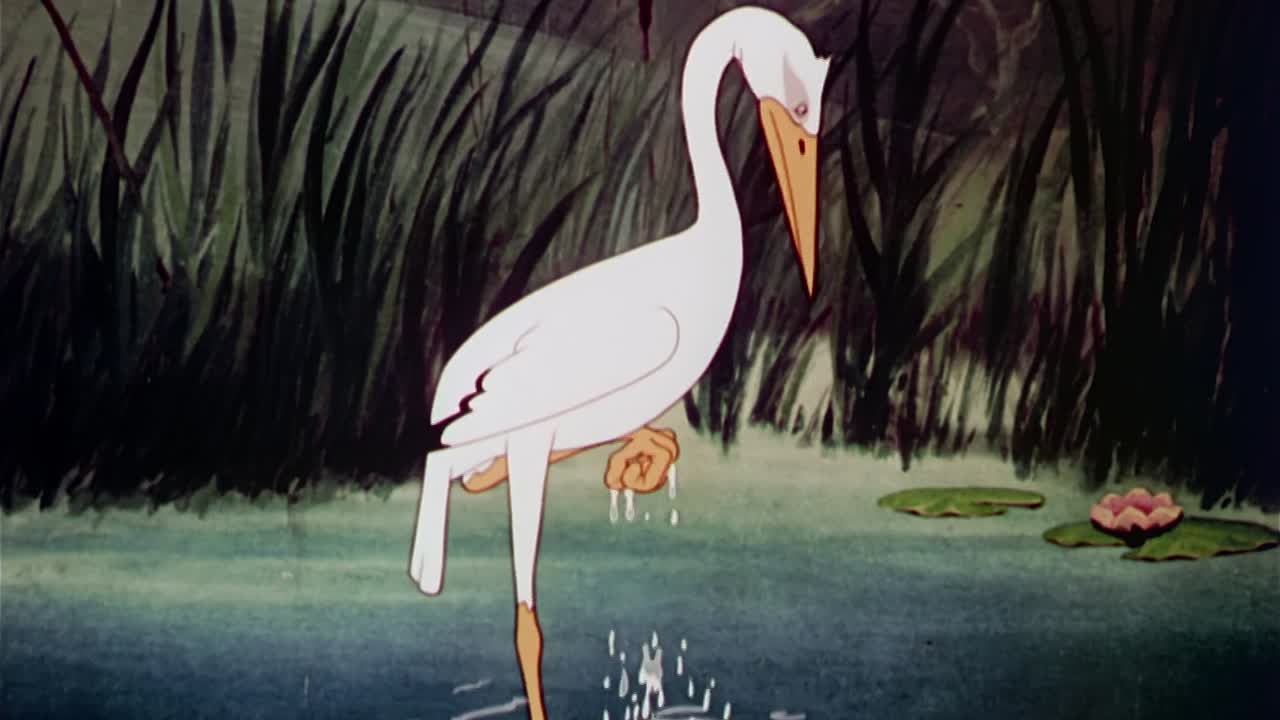 ⁣0305 - Wacky Wildlife (Web)