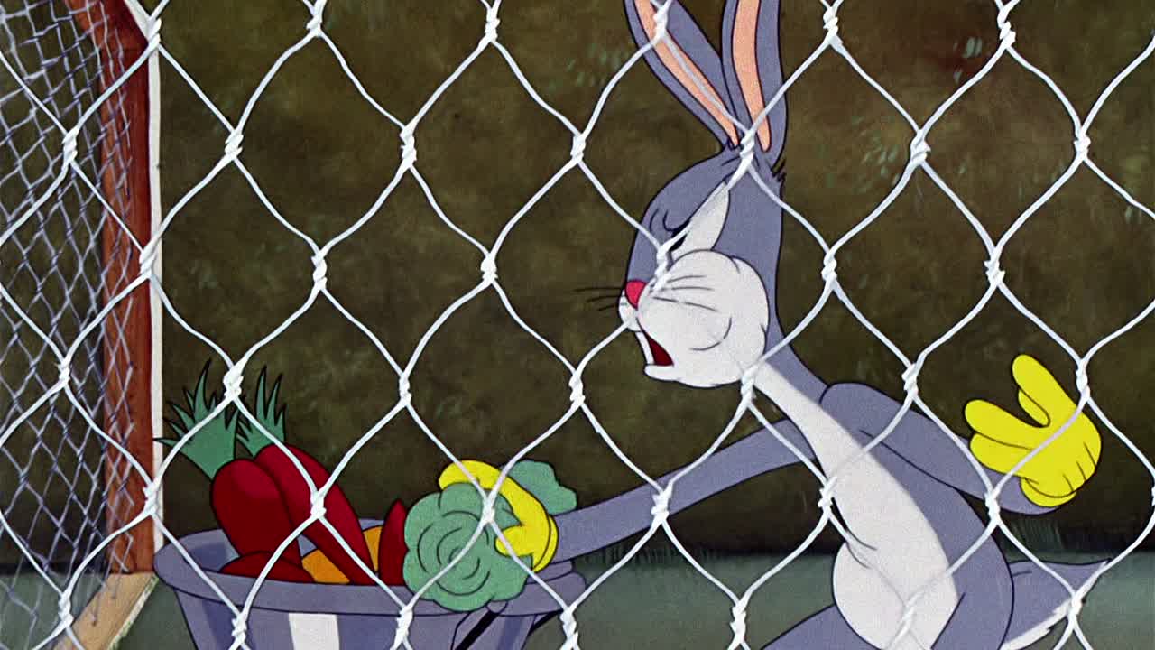 ⁣0311 - Elmer's Pet Rabbit (BR)