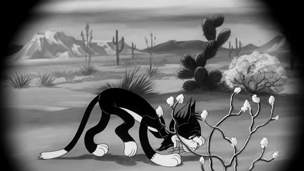 0315 - The Haunted Mouse (Web)