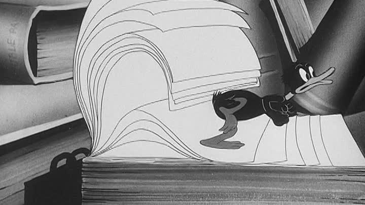 0328 - A Coy Decoy (DVD)