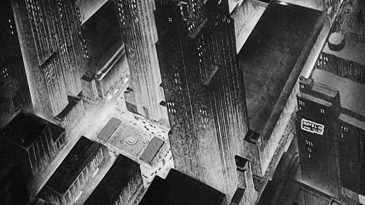 ⁣0336 - We, the Animals- Squeak! (DVD)